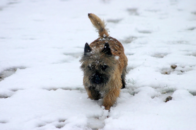 Publication : de la vallée Caid