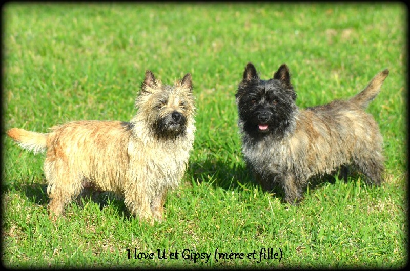 Publication : de la vallée Caid