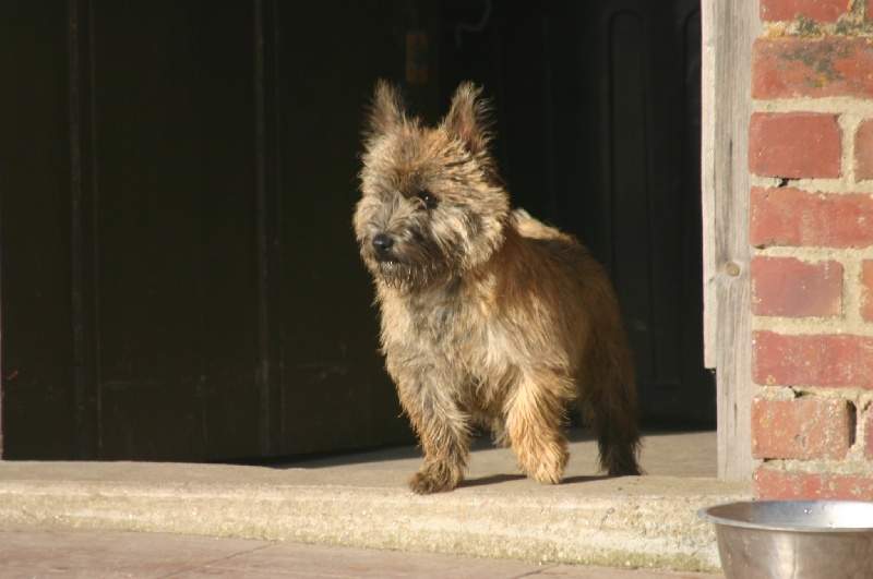 Publication : de la vallée Caid