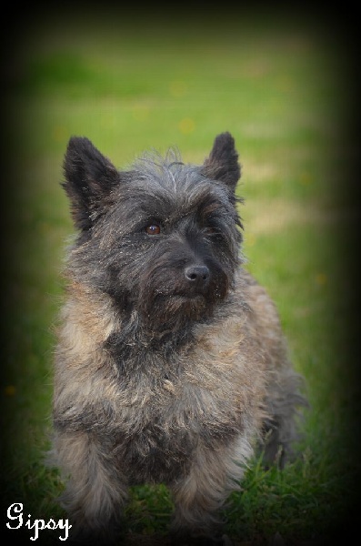 Publication : de la vallée Caid