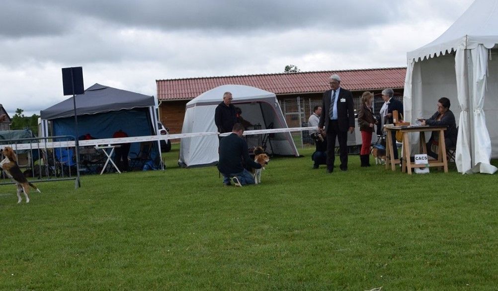 Othello des vallées d argoat - 2e EXC CLASSE JEUNE