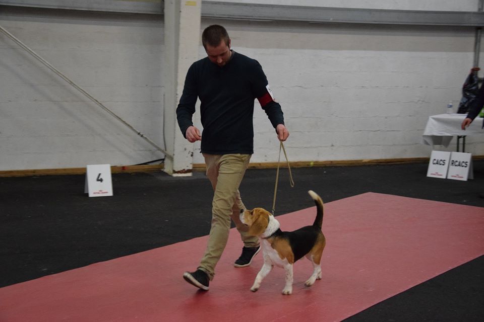 Othello des vallées d argoat - 3 e TRES BON