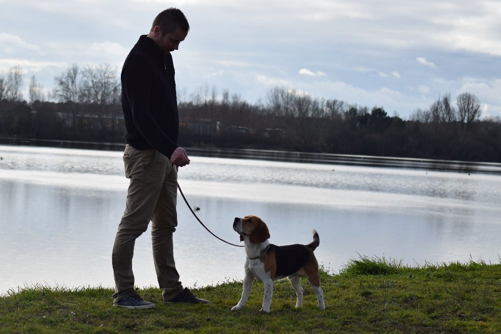 Othello des vallées d argoat - 2e Excellent - classe Jeune