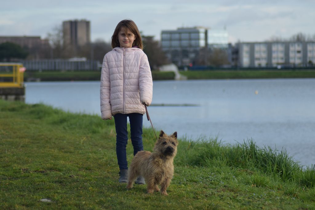 Only you de la vallée Caid - 3e Excellent - Classe Jeune