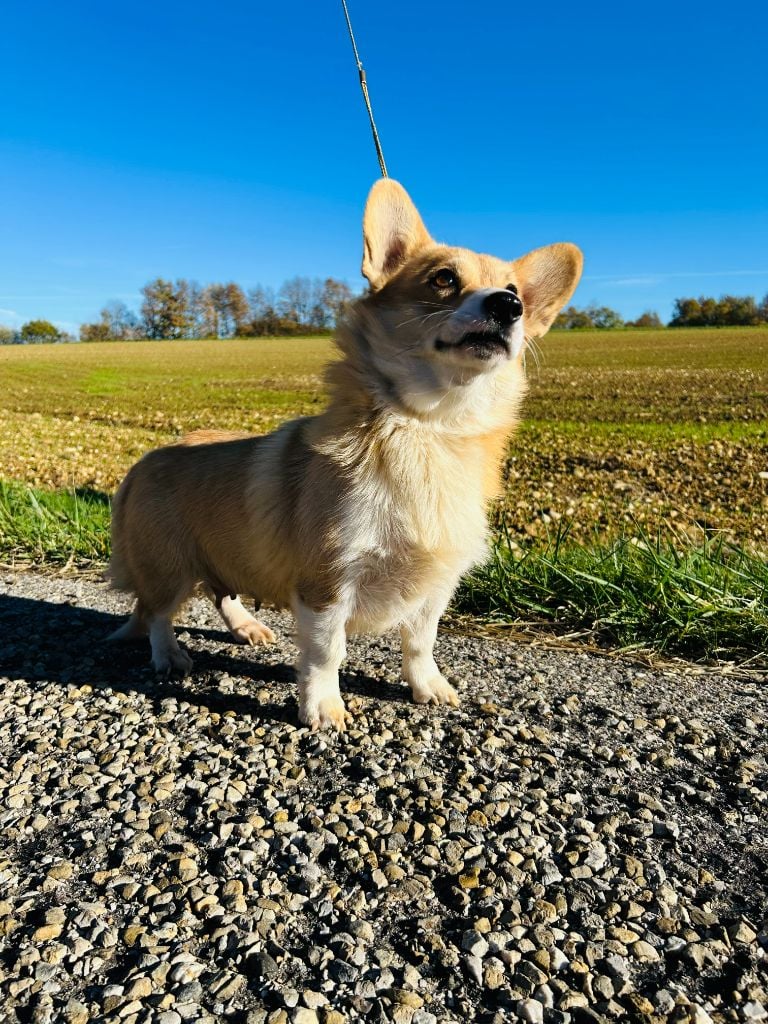 Vicky Des Yeux D'Osiris