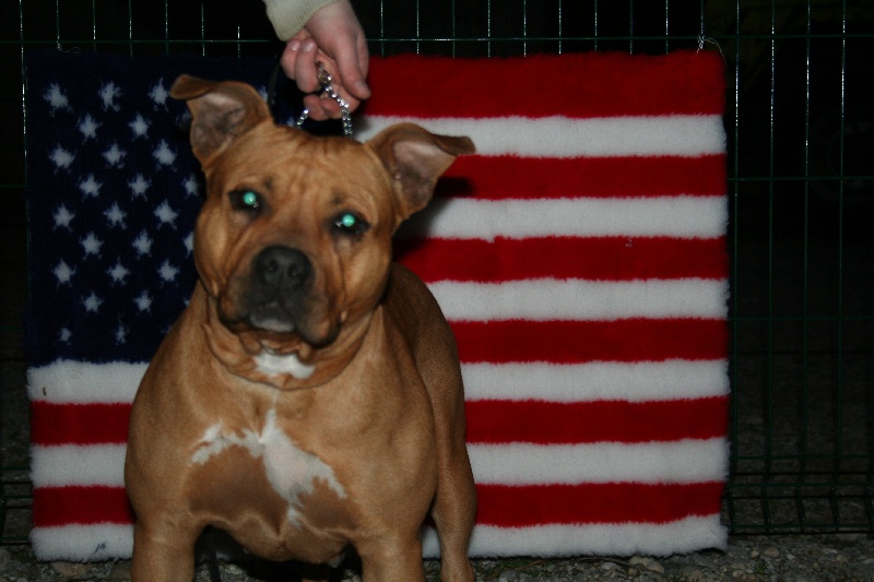 Blika dite balkane (Sans Affixe)