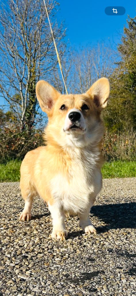 Vicky Des Yeux D'Osiris