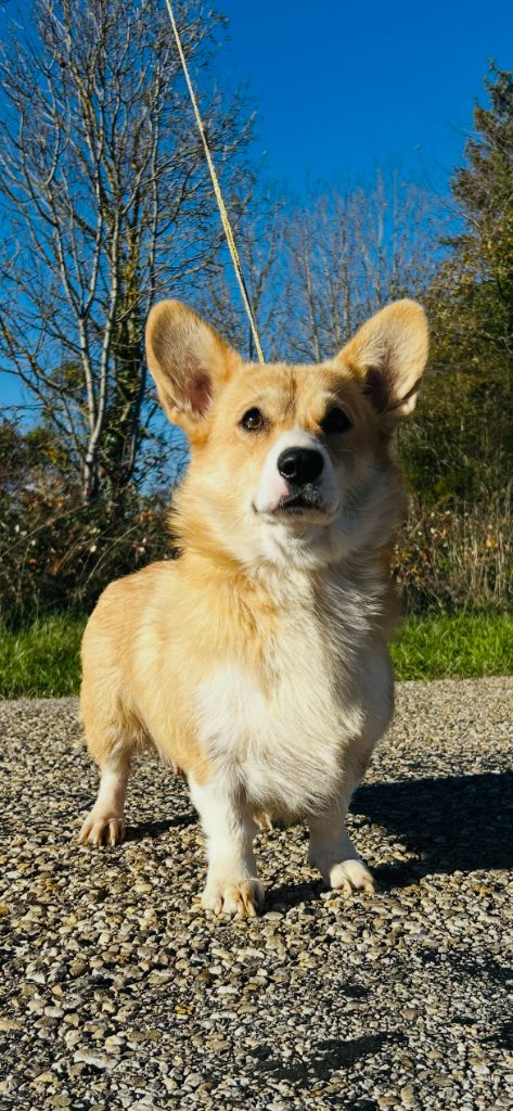 Vicky Des Yeux D'Osiris