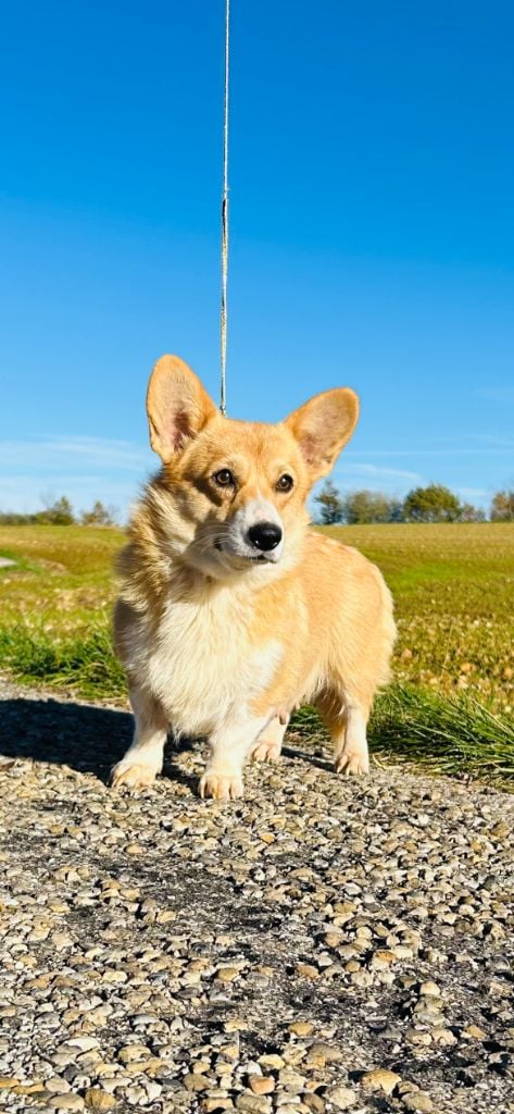 Vicky Des Yeux D'Osiris