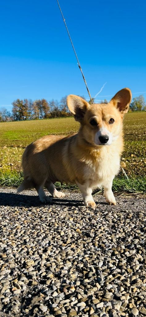 Vicky Des Yeux D'Osiris