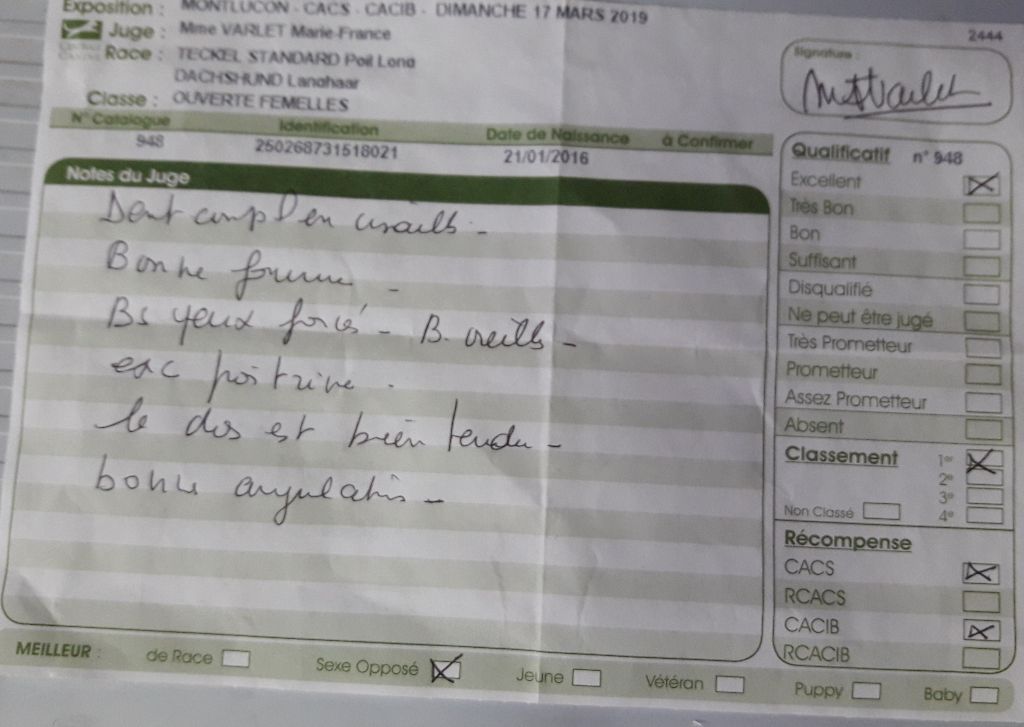 Mamzelle myrtille Du chene daniele - Cac+cacib