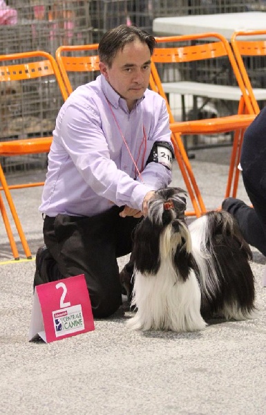 Teenangel Life - 2iéme excellent en classe jeune