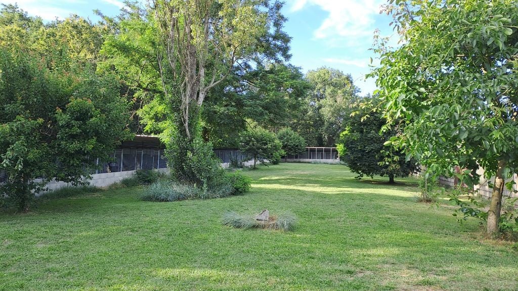 Photo PENSION PLAISANCE
