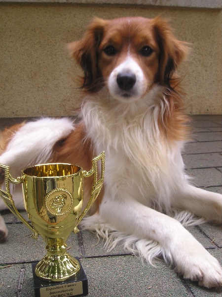 Haka des maoris cairnbraid - RCACIB RCACS
