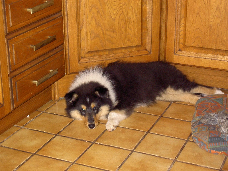 Publication : de la vallée d'ubaye