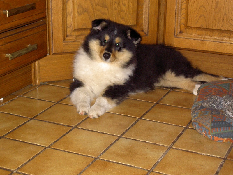 Publication : de la vallée d'ubaye