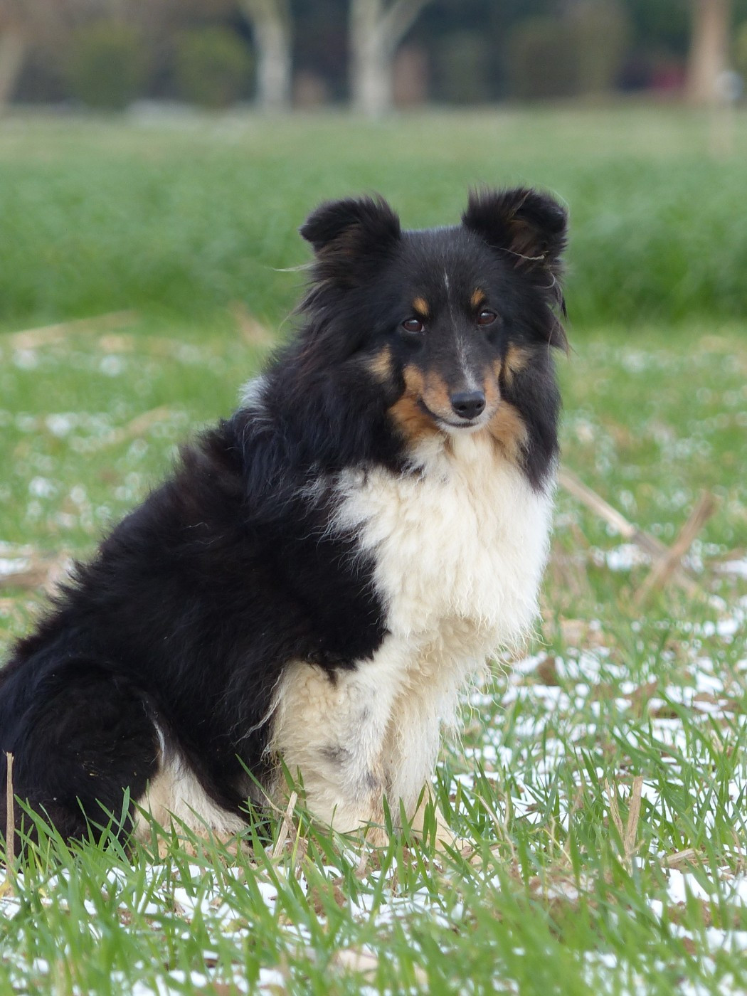 Publication : du Banc des Hermelles