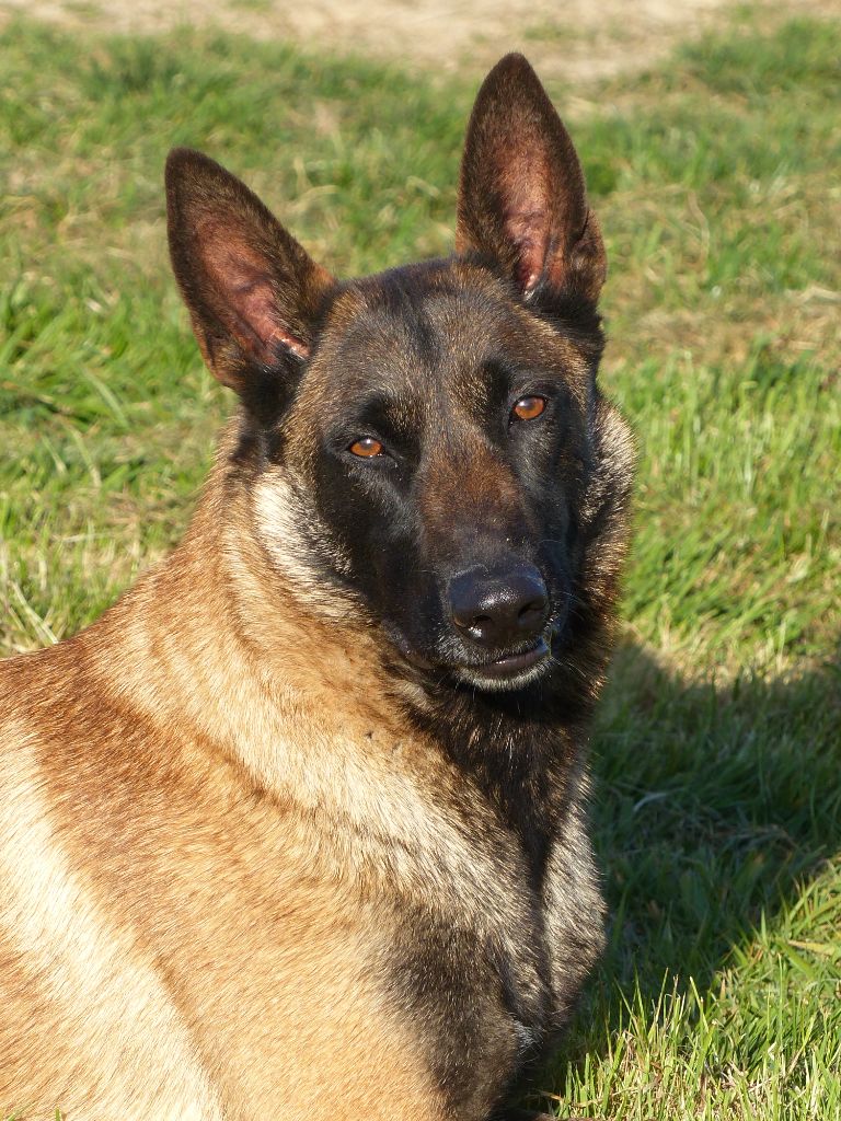 Publication : du Banc des Hermelles