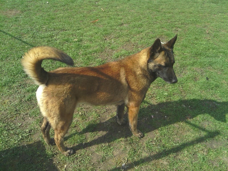 Publication : Du ruisseau de couvrelles