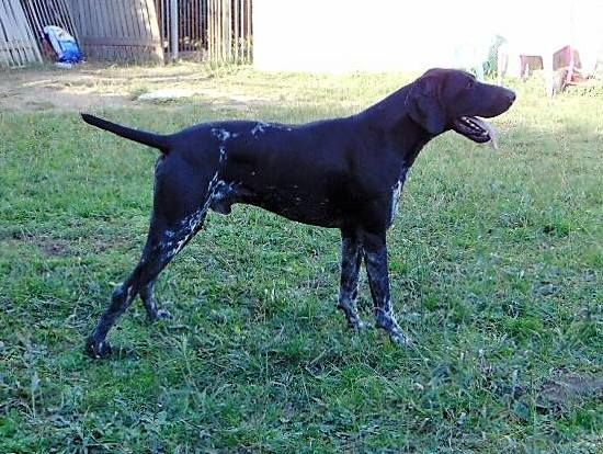 Publication : De La Vallee De L'aber Wrach