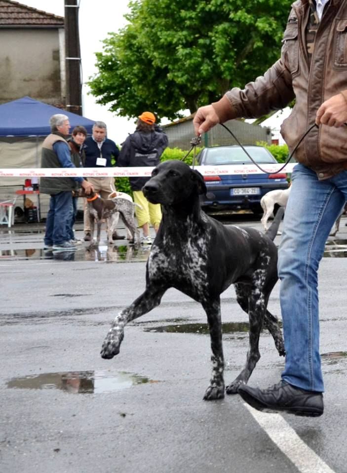 Publication : De La Vallee De L'aber Wrach