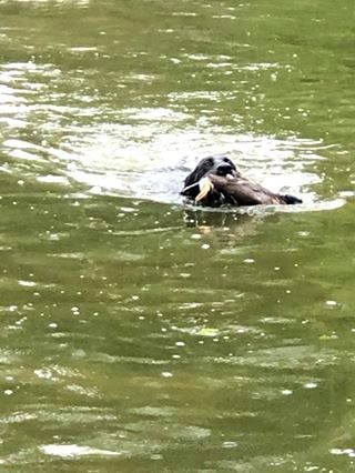 Publication : De La Vallee De L'aber Wrach