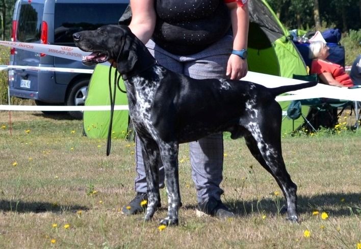 Publication : De La Vallee De L'aber Wrach