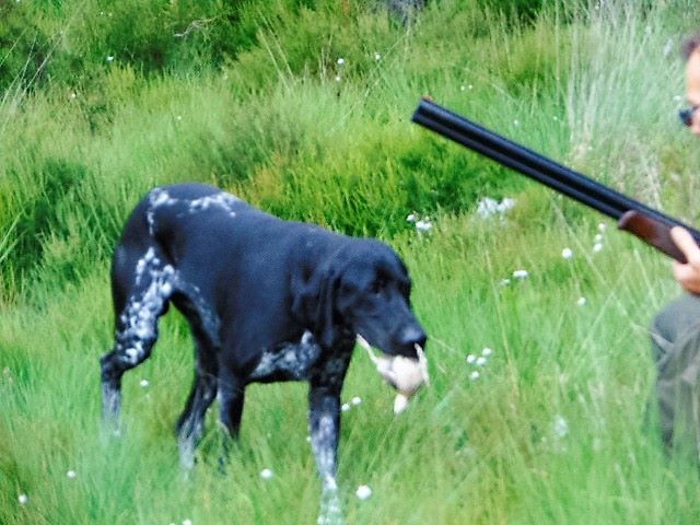 Publication : De La Vallee De L'aber Wrach