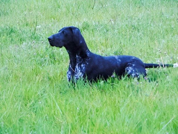 Publication : De La Vallee De L'aber Wrach