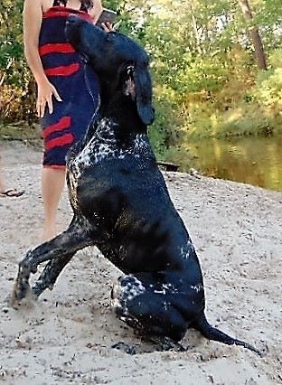 Publication : De La Vallee De L'aber Wrach