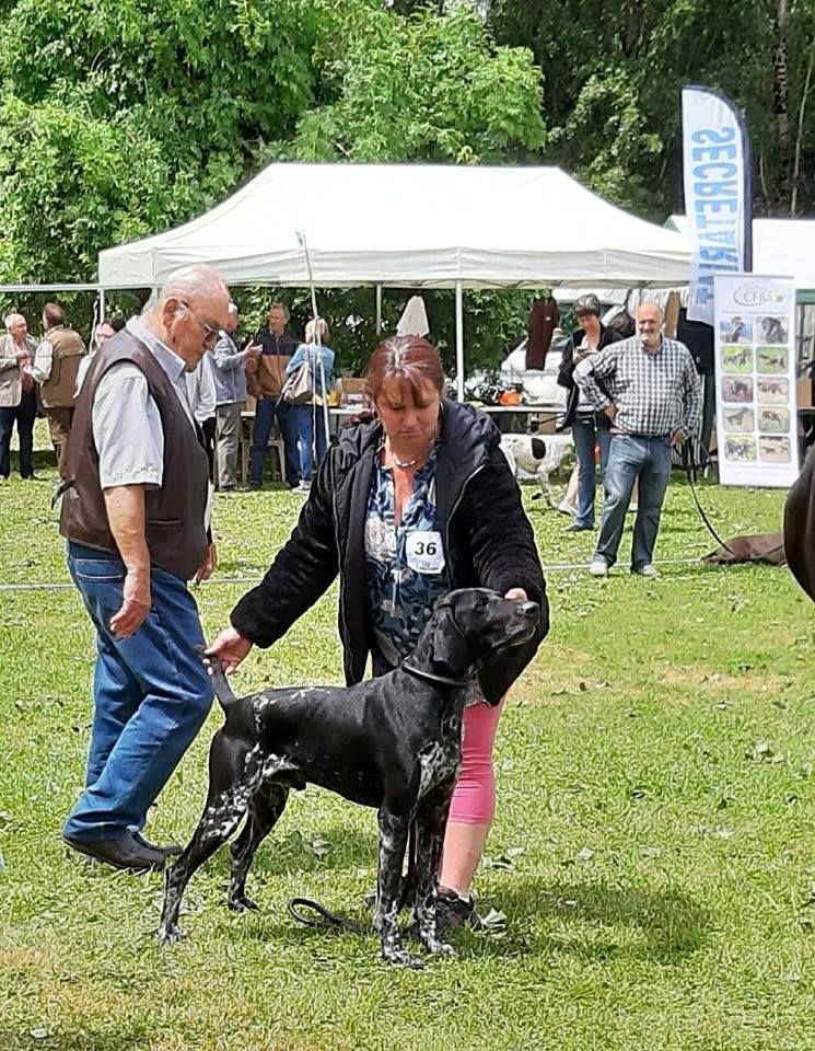 Publication : De La Vallee De L'aber Wrach