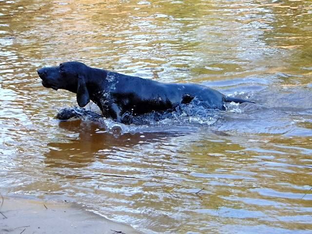 Publication : De La Vallee De L'aber Wrach