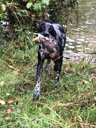 Publication : De La Vallee De L'aber Wrach