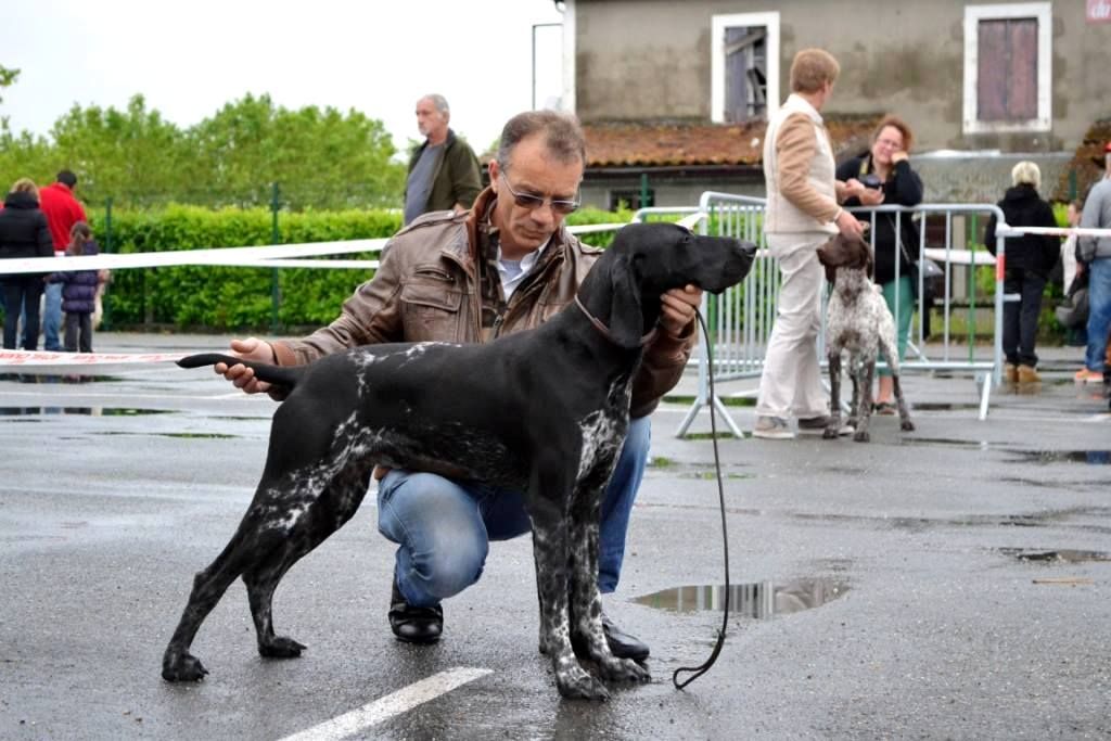 Publication : De La Vallee De L'aber Wrach