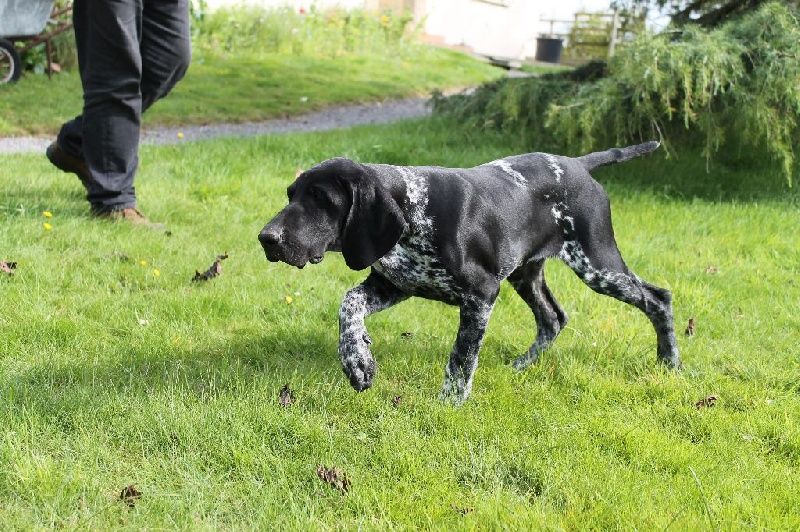 Publication : De La Vallee De L'aber Wrach