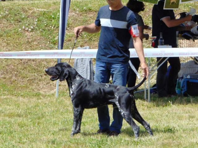 Publication : De La Vallee De L'aber Wrach