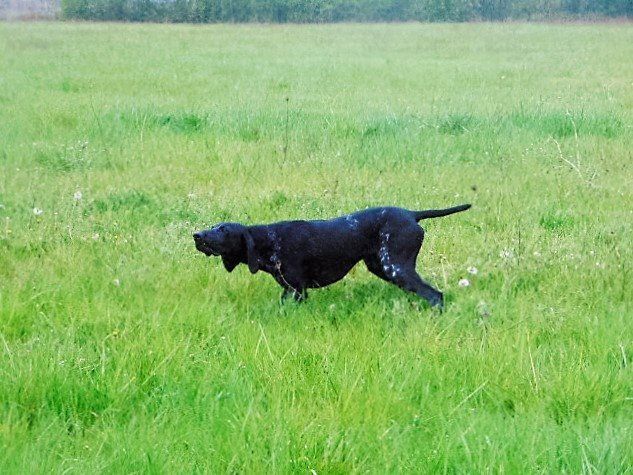 Publication : De La Vallee De L'aber Wrach