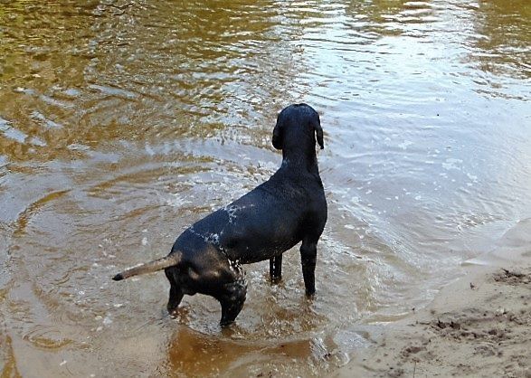 Publication : De La Vallee De L'aber Wrach