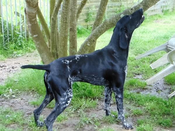 Publication : De La Vallee De L'aber Wrach