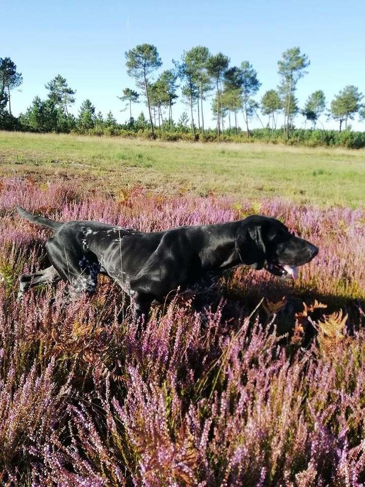 Publication : De La Vallee De L'aber Wrach