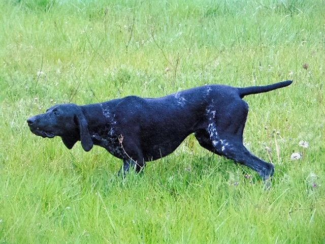 Publication : De La Vallee De L'aber Wrach