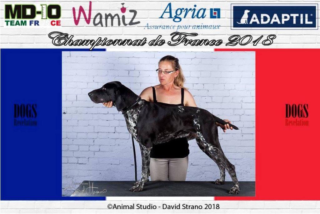 Publication : De La Vallee De L'aber Wrach