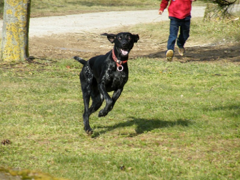 Elsa des champs de blé doré