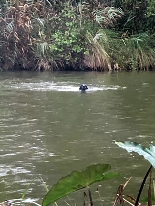 Publication : De La Vallee De L'aber Wrach