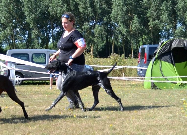 Publication : De La Vallee De L'aber Wrach