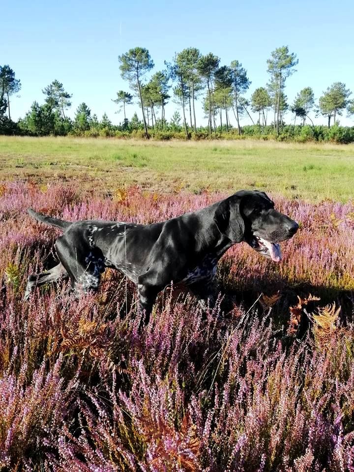 Publication : De La Vallee De L'aber Wrach