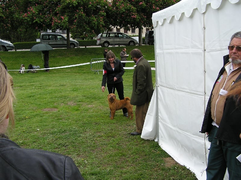 Délice Du grand baronnet - 1ère excellente