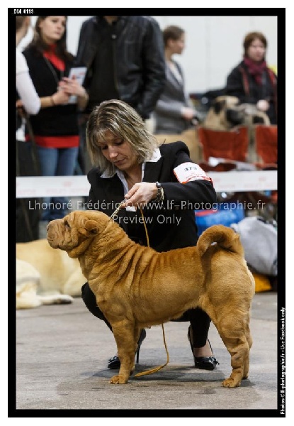Délice Du grand baronnet - 3ème excellente