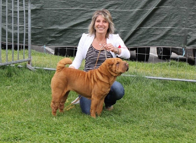 Délice Du grand baronnet - 3ème excellente classe ouverte