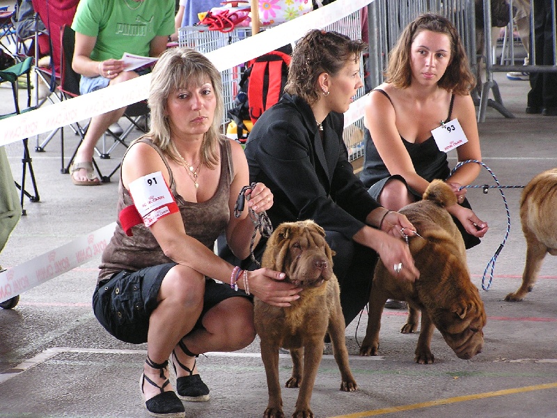 Danette brownies du Bouquet d'Epices - Prometteur
